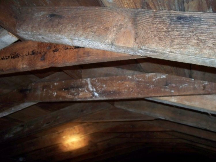 local contractor local roofer